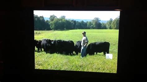Farmers and ranchers dating commercial